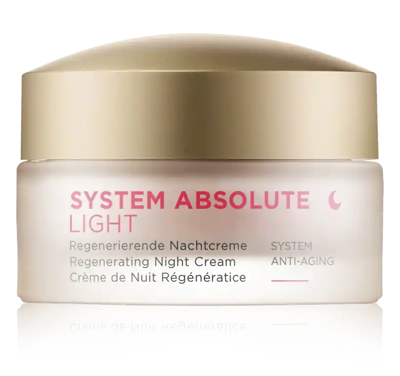 Annemarie Börlind System Absolute Light Regenerierende Nachtcreme (50 ml) Jetzt Zugreifen