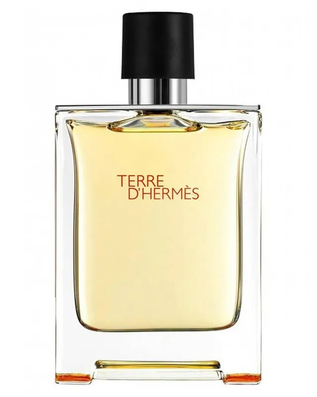 Zertifiziert Hermes Terre D'Hermes EDP
