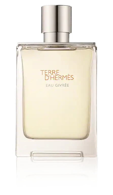 Hermès Terre d'Hermès Eau Givrée Eau de Parfum Spray (nachfüllbar) (100 ml) Gleich Bestellen