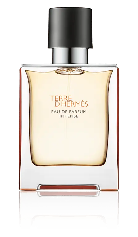 Jetzt Zugreifen Hermès Terre d'Hermès Eau de Parfum Intense Spray (nachfüllbar) (50 ml)