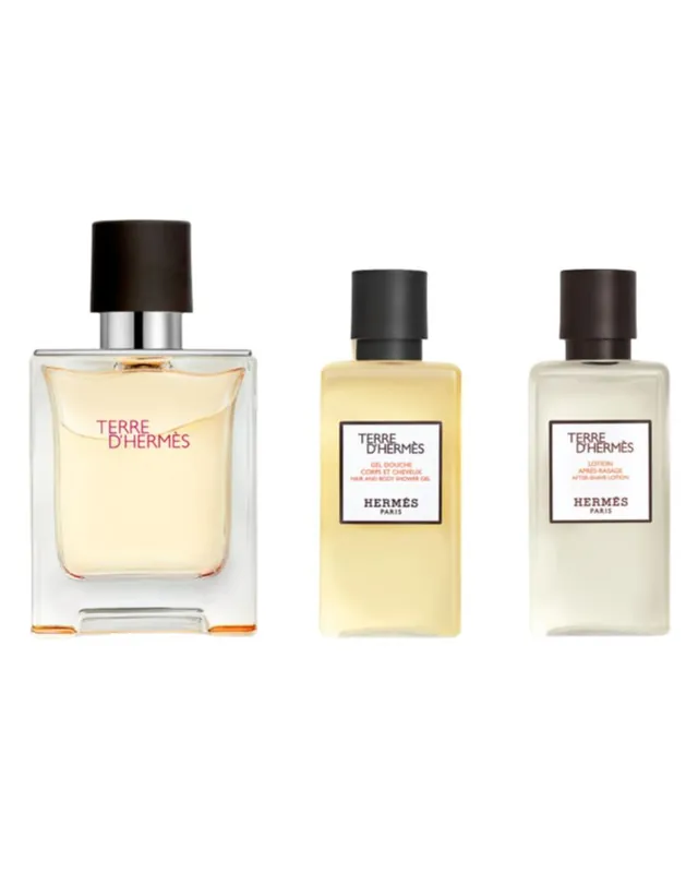 Hermes Hermès Terre d'Hermès Giftset EDT Must-Have
