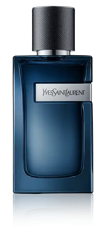 Yves Saint Laurent Y Men Eau de Parfum Intense Spray (100 ml) Direktkauf