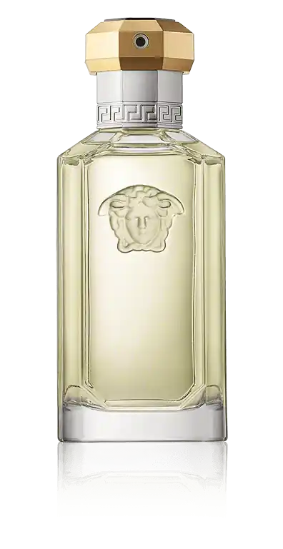Versace The Dreamer Eau de Toilette Spray (100 ml) Kostenloser Versand