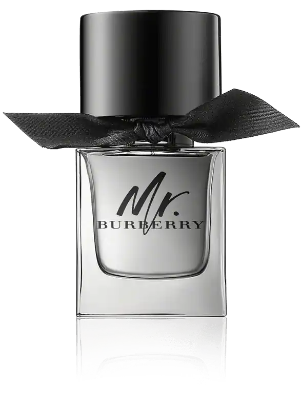 Burberry Mr. Burberry Eau de Toilette Spray (50 ml) Im Trend