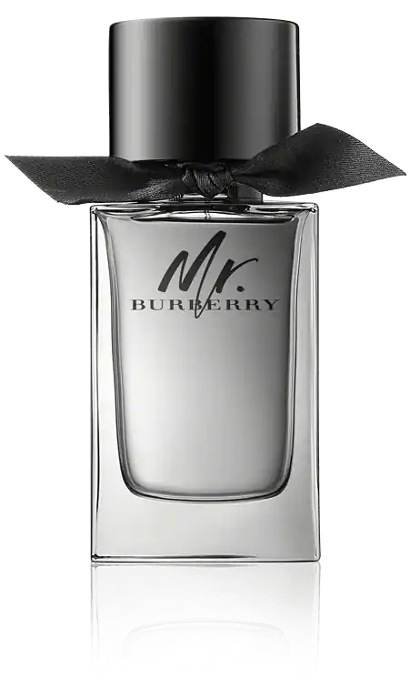Angebot Burberry Mr. Burberry Eau de Toilette Spray (100 ml)