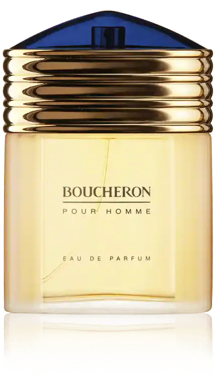 Mega-Angebot Boucheron pour Homme Eau de Parfum Spray (100 ml)
