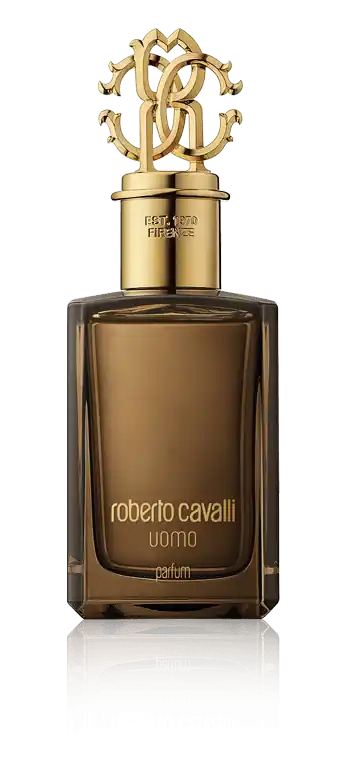 Roberto Cavalli Collection Uomo Parfum Spray (100 ml) Jetzt Zugreifen