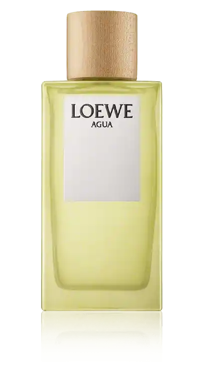 Loewe Agua Eau de Toilette Spray (150 ml) Mengenrabatt