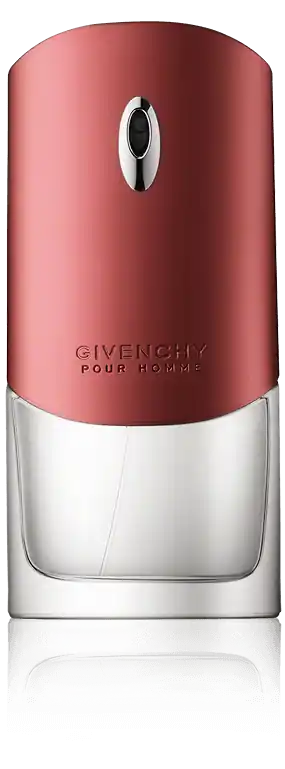 Garantierte Lieferung Givenchy pour Homme Eau de Toilette Spray (100 ml)