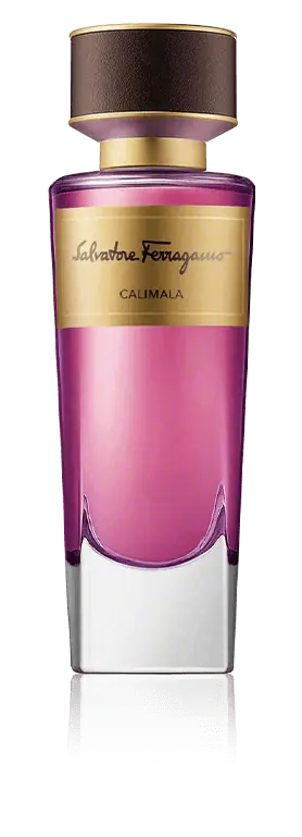 Neue Kollektion Salvatore Ferragamo Tuscan Creations Calimala Eau de Parfum Spray (100 ml)