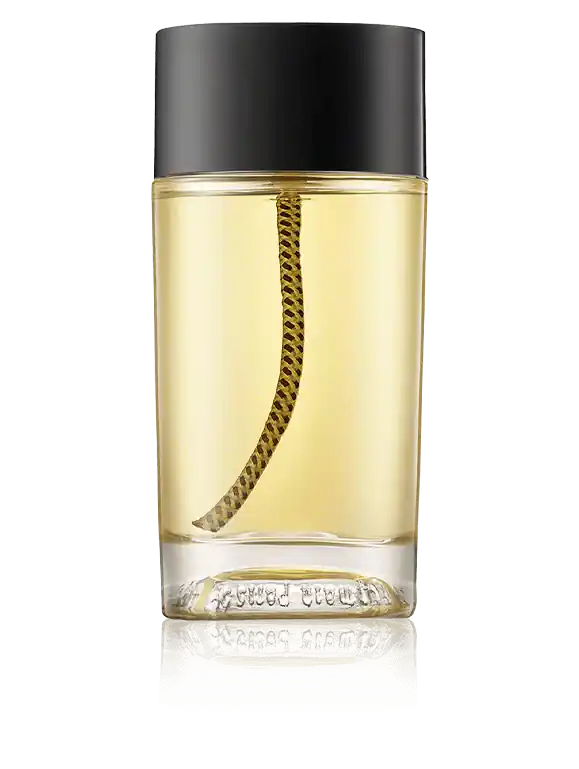 Diptyque 34 Boulevard Saint Germain Eau de Toilette Spray (100 ml) Direktkauf