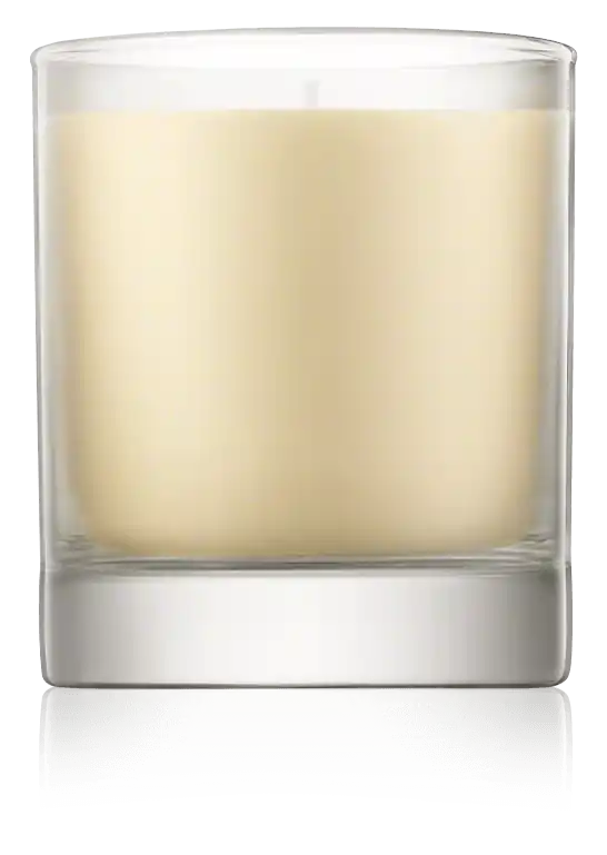 Meistverkauft Aveda Rosemary Mint Vegan Soy Wax Candle (230 g)