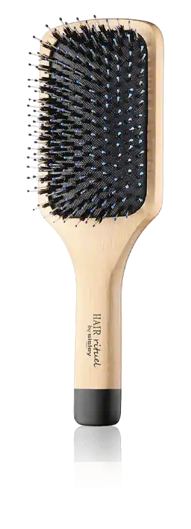 Highlight Sisley Brushes The Radiance & Softness Brush
