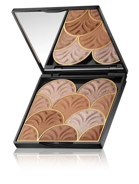 Delfy Cosmetics Highlighter Fantasy Illuminating Face Powder (17 g) Direktkauf